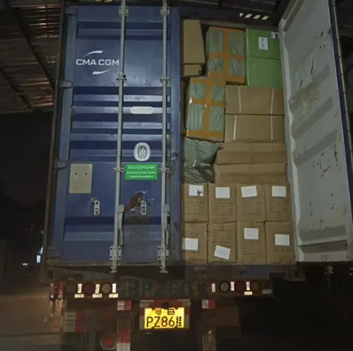 Secured cargo inside shipping container with protective wrapping